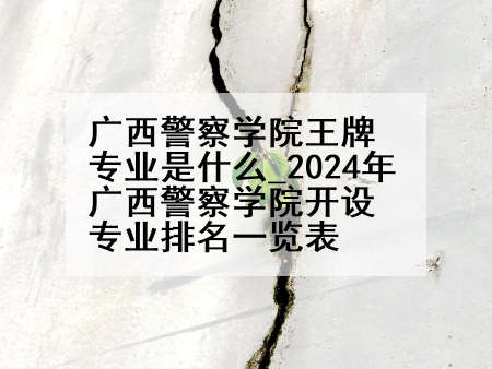 广西警察学院王牌专业是什么_2024年广西警察学院开设专业排名一览表