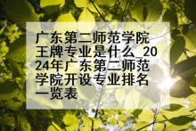 广东第二师范学院王牌专业是什么_2024年广东第二师范学院开设专业排名一览表