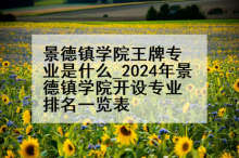 景德镇学院王牌专业是什么_2024年景德镇学院开设专业排名一览表