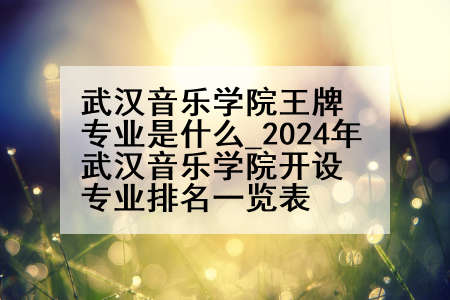 武汉音乐学院王牌专业是什么_2024年武汉音乐学院开设专业排名一览表