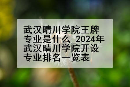 武汉晴川学院王牌专业是什么_2024年武汉晴川学院开设专业排名一览表