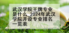 武汉学院王牌专业是什么_2024年武汉学院开设专业排名一览表