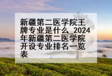 新疆第二医学院王牌专业是什么_2024年新疆第二医学院开设专业排名一览表