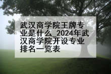 武汉商学院王牌专业是什么_2024年武汉商学院开设专业排名一览表