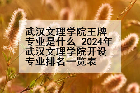 武汉文理学院王牌专业是什么_2024年武汉文理学院开设专业排名一览表