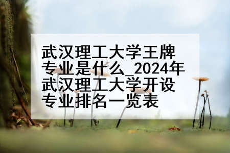 武汉理工大学王牌专业是什么_2024年武汉理工大学开设专业排名一览表