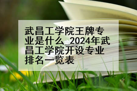 武昌工学院王牌专业是什么_2024年武昌工学院开设专业排名一览表