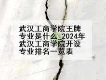 武汉工商学院王牌专业是什么_2024年武汉工商学院开设专业排名一览表