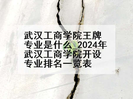 武汉工商学院王牌专业是什么_2024年武汉工商学院开设专业排名一览表