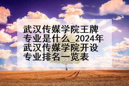 武汉传媒学院王牌专业是什么_2024年武汉传媒学院开设专业排名一览表