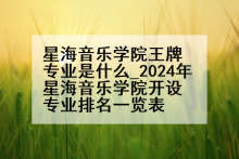 星海音乐学院王牌专业是什么_2024年星海音乐学院开设专业排名一览表