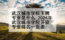 武汉城市学院王牌专业是什么_2024年武汉城市学院开设专业排名一览表