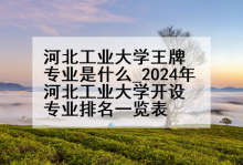 河北工业大学王牌专业是什么_2024年河北工业大学开设专业排名一览表
