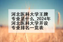 河北医科大学王牌专业是什么_2024年河北医科大学开设专业排名一览表