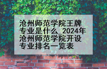 沧州师范学院王牌专业是什么_2024年沧州师范学院开设专业排名一览表