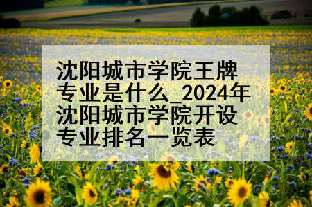 沈阳城市学院王牌专业是什么_2024年沈阳城市学院开设专业排名一览表