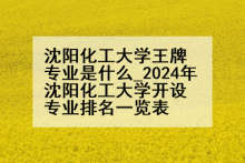 沈阳化工大学王牌专业是什么_2024年沈阳化工大学开设专业排名一览表