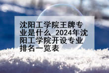 沈阳工学院王牌专业是什么_2024年沈阳工学院开设专业排名一览表