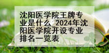 沈阳医学院王牌专业是什么_2024年沈阳医学院开设专业排名一览表