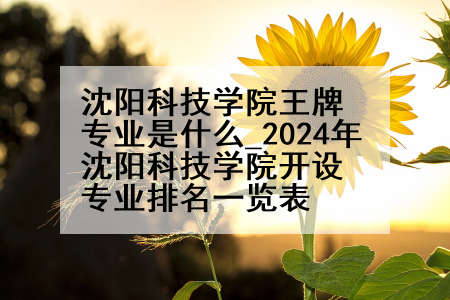 沈阳科技学院王牌专业是什么_2024年沈阳科技学院开设专业排名一览表