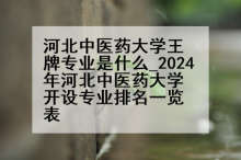 河北中医药大学王牌专业是什么_2024年河北中医药大学开设专业排名一览表