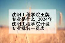 沈阳工程学院王牌专业是什么_2024年沈阳工程学院开设专业排名一览表