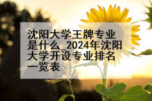 沈阳大学王牌专业是什么_2024年沈阳大学开设专业排名一览表