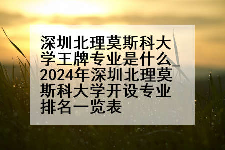 深圳北理莫斯科大学王牌专业是什么_2024年深圳北理莫斯科大学开设专业排名一览表