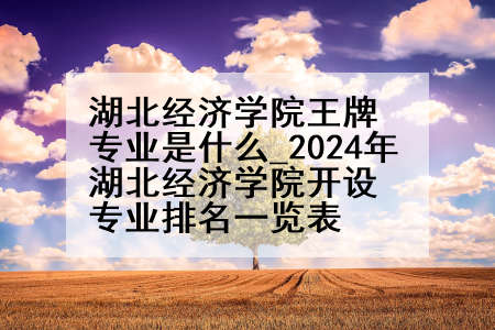 湖北经济学院王牌专业是什么_2024年湖北经济学院开设专业排名一览表