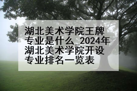 湖北美术学院王牌专业是什么_2024年湖北美术学院开设专业排名一览表