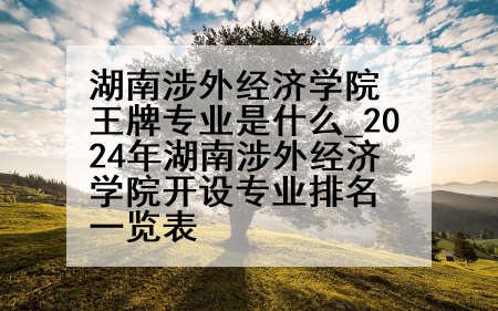 湖南涉外经济学院王牌专业是什么_2024年湖南涉外经济学院开设专业排名一览表