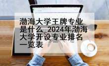 渤海大学王牌专业是什么_2024年渤海大学开设专业排名一览表