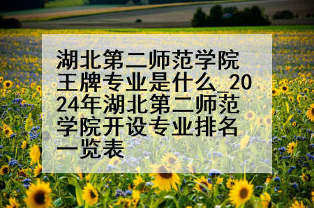 湖北第二师范学院王牌专业是什么_2024年湖北第二师范学院开设专业排名一览表