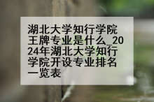 湖北大学知行学院王牌专业是什么_2024年湖北大学知行学院开设专业排名一览表