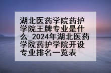 湖北医药学院药护学院王牌专业是什么_2024年湖北医药学院药护学院开设专业排名一览表