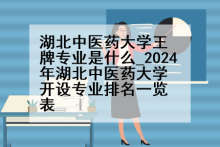 湖北中医药大学王牌专业是什么_2024年湖北中医药大学开设专业排名一览表