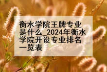 衡水学院王牌专业是什么_2024年衡水学院开设专业排名一览表