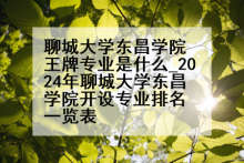 聊城大学东昌学院王牌专业是什么_2024年聊城大学东昌学院开设专业排名一览表
