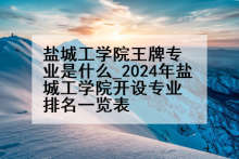 盐城工学院王牌专业是什么_2024年盐城工学院开设专业排名一览表
