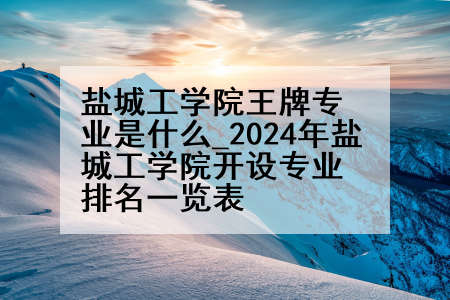 盐城工学院王牌专业是什么_2024年盐城工学院开设专业排名一览表