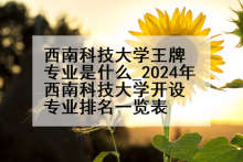 西南科技大学王牌专业是什么_2024年西南科技大学开设专业排名一览表