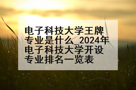 电子科技大学王牌专业是什么_2024年电子科技大学开设专业排名一览表