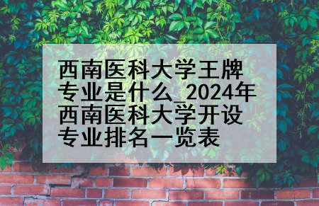 西南医科大学王牌专业是什么_2024年西南医科大学开设专业排名一览表