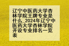 辽宁中医药大学杏林学院王牌专业是什么_2024年辽宁中医药大学杏林学院开设专业排名一览表