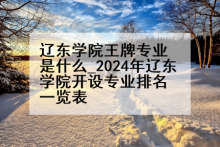 辽东学院王牌专业是什么_2024年辽东学院开设专业排名一览表