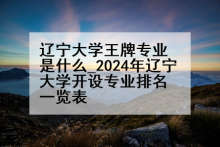 辽宁大学王牌专业是什么_2024年辽宁大学开设专业排名一览表