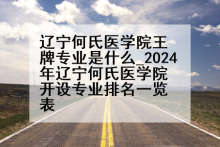 辽宁何氏医学院王牌专业是什么_2024年辽宁何氏医学院开设专业排名一览表