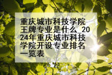 重庆城市科技学院王牌专业是什么_2024年重庆城市科技学院开设专业排名一览表