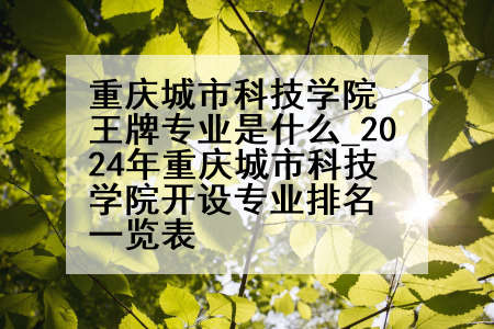 重庆城市科技学院王牌专业是什么_2024年重庆城市科技学院开设专业排名一览表