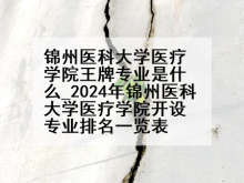 锦州医科大学医疗学院王牌专业是什么_2024年锦州医科大学医疗学院开设专业排名一览表